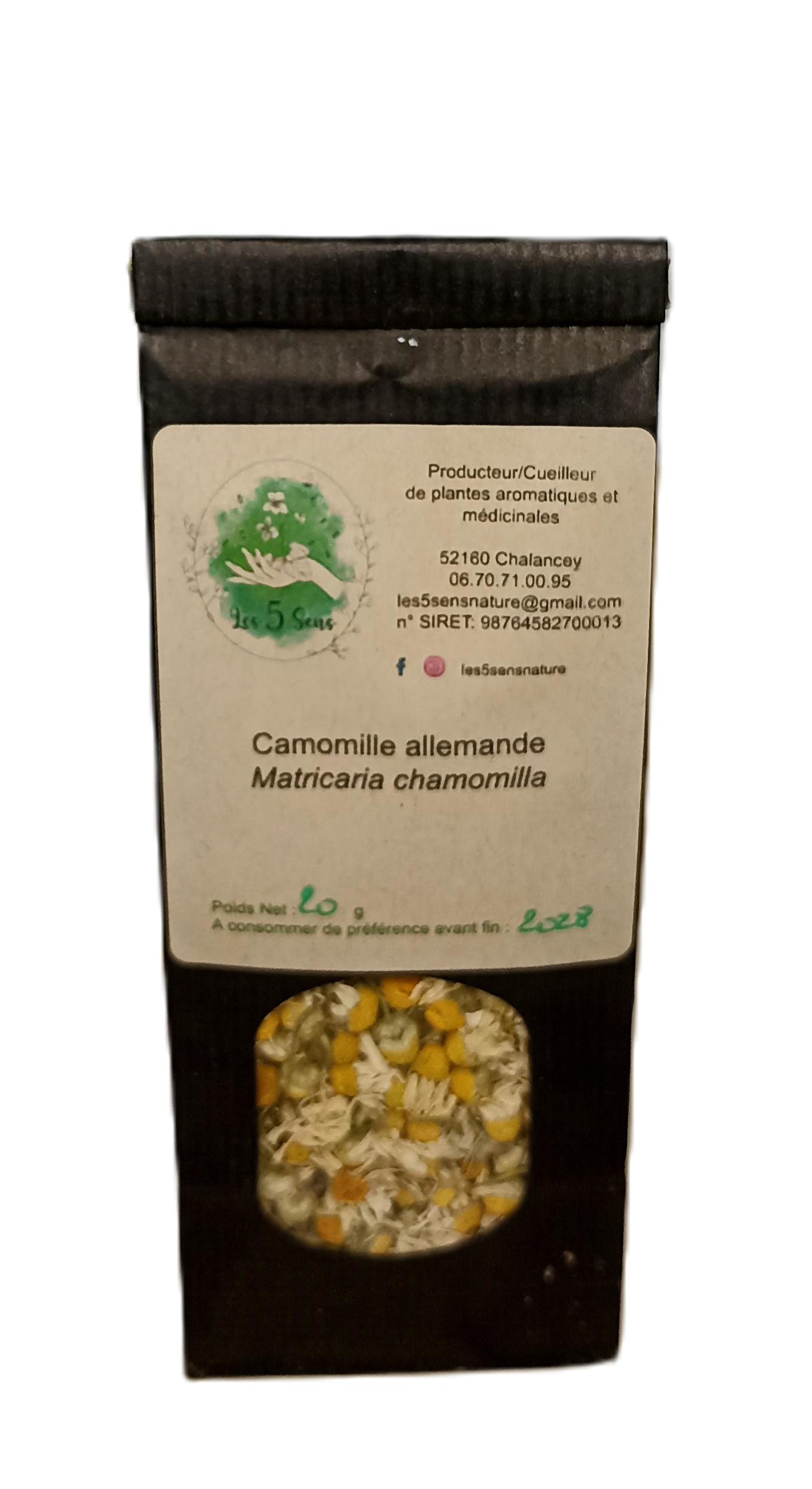 Camomille matricaire ( Matricaria chamomilla) – Image 2