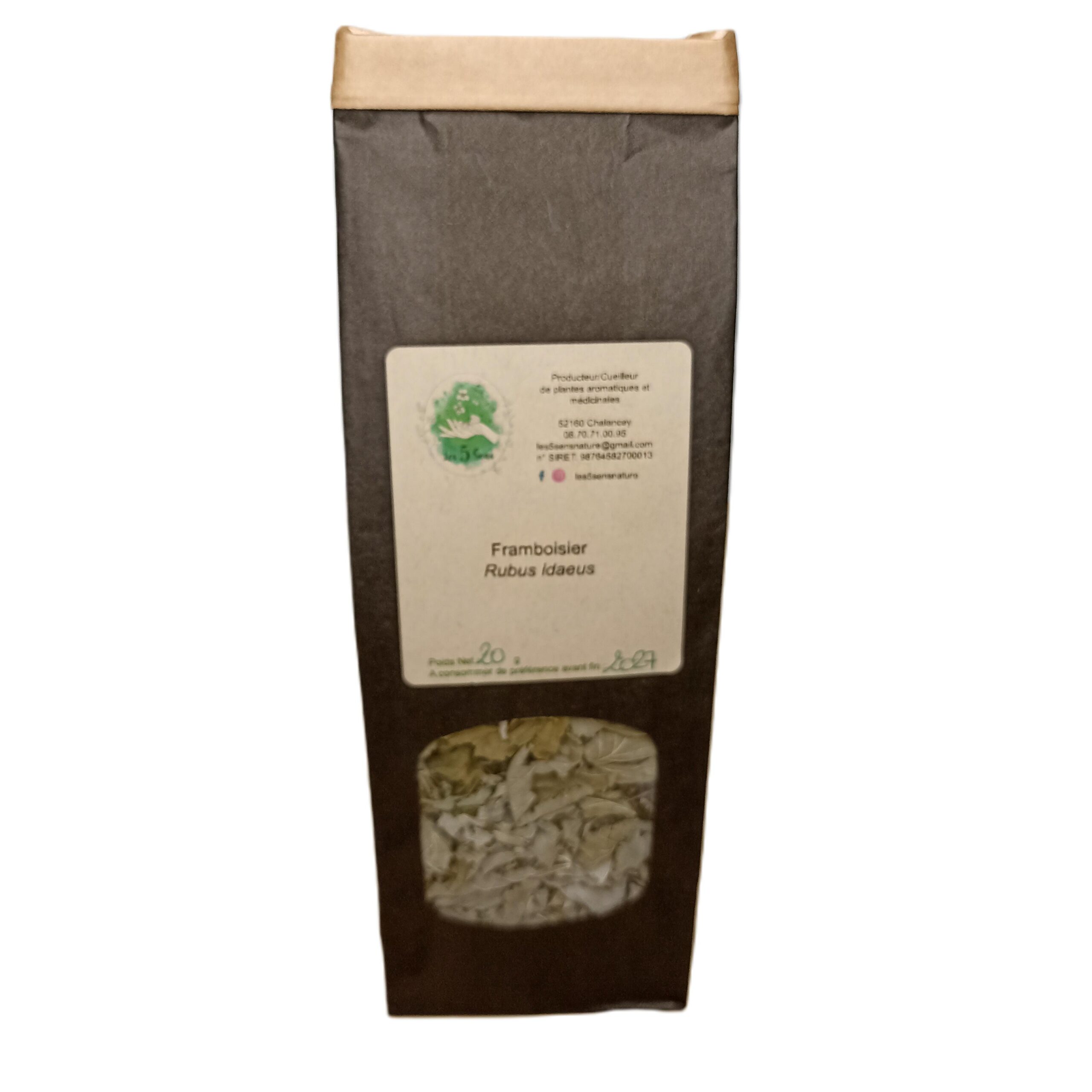 Framboisier – Rubus idaeus – Image 2