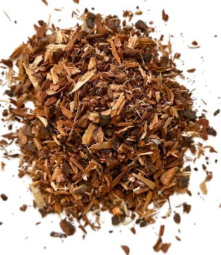 Marronnier d'Inde - Aesculus hippocastanum