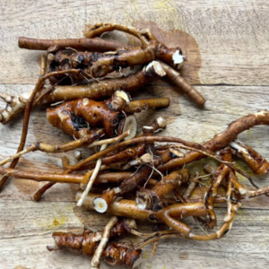 Pissenlit Racine - Taraxacum officinale