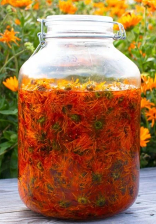 Macérat de Calendula – Image 3
